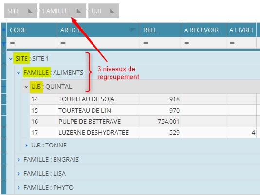 wiki:widgets:3_niveax_de_regroupement.jpg