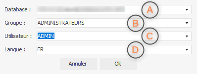 wiki:application:cm_query_params.png