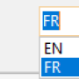 design_language_selection.png